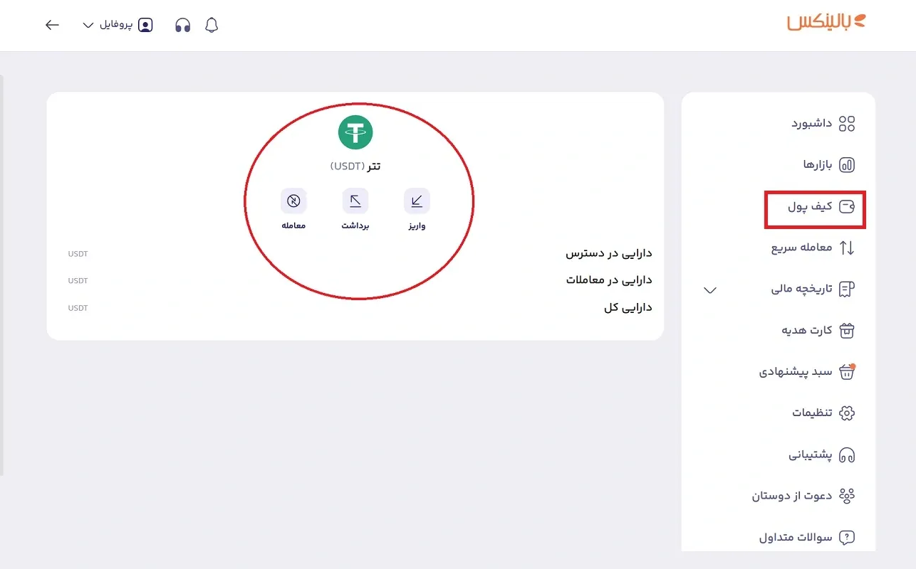 مشاهده تتر در کیف پول بالینکس