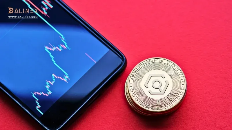 تیم تشکیلدهنده انکر