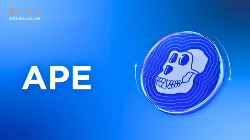 تیم تشکیل دهنده ایپ کوین