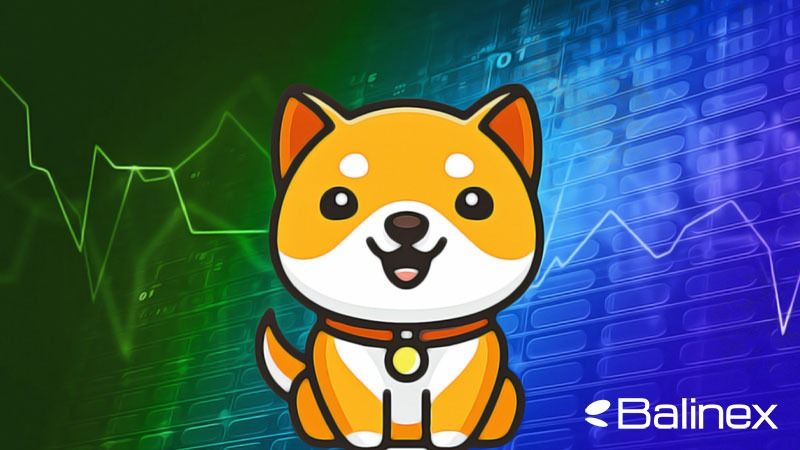 پیش بینی قیمت بیبی دوج