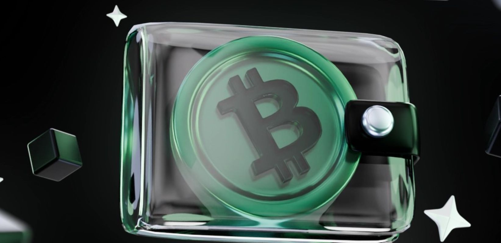 بهترین کیف پول بیت کوین کش