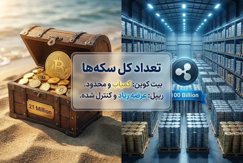 وضعیت توزیع و تعداد سکهها (Tokenomics) بیت کوین و ریپل