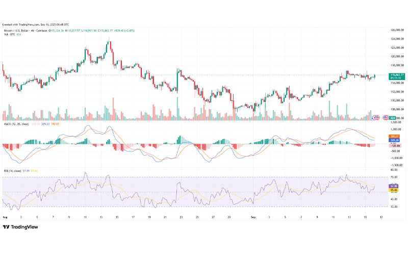 چارت قیمت بیت کوین (BTC)