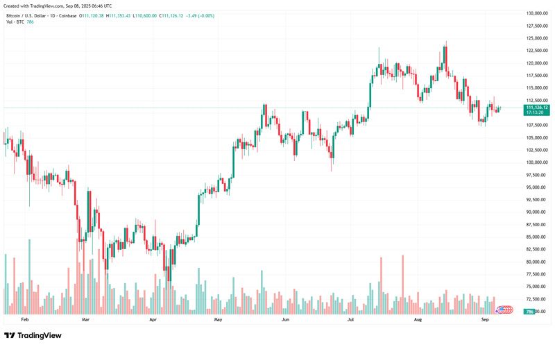 چارت قیمت بیت کوین (BTC)