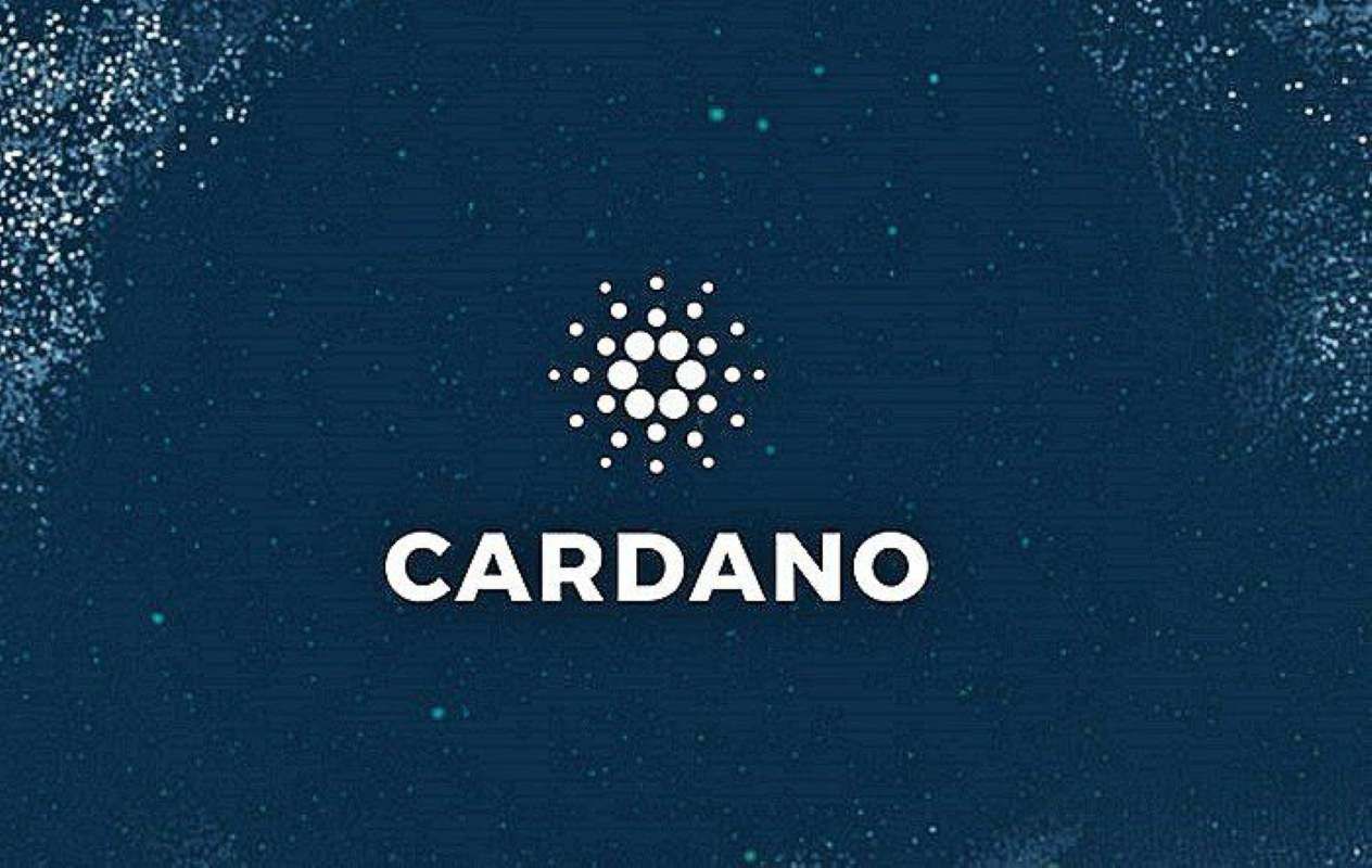 پیش بینی قیمت کاردانو
