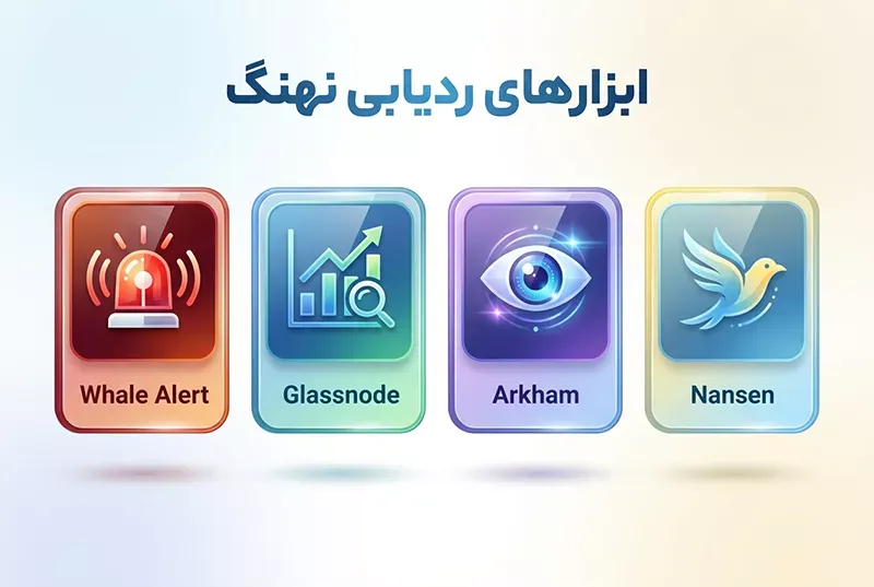 پلتفرم های رایج برای ردیابی نهنگ ها
