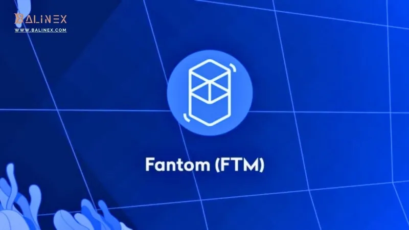 معماری شبکه فانتوم Fantom Network