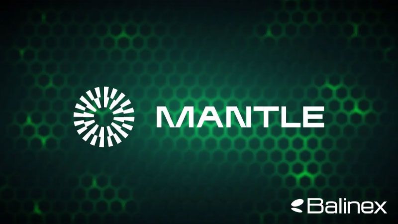 آینده ارز دیجیتال MNT