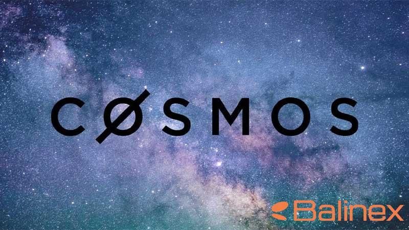 مقایسه زتا چین (ZETA) با کازماس (ATOM)