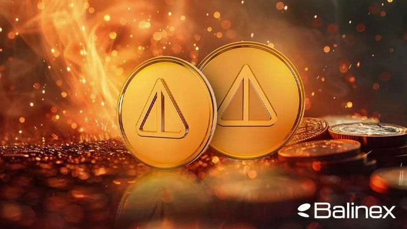 نات کوین چیست؟