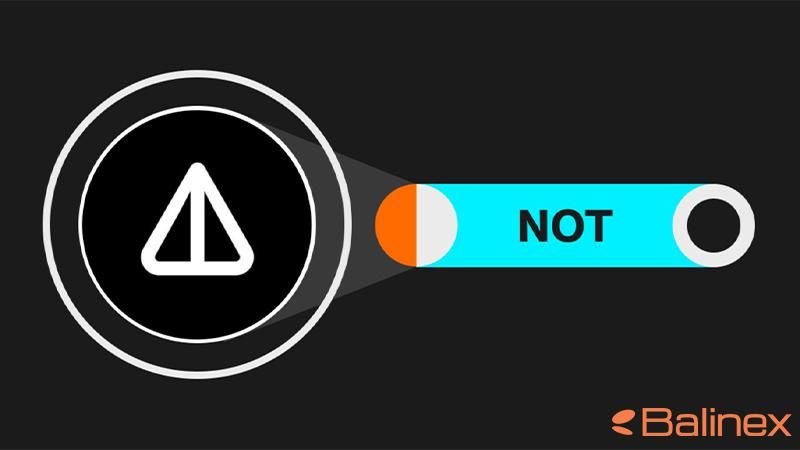 نات کوین، محبوبترین ارز دیجیتال مبتنی بر تلگرام