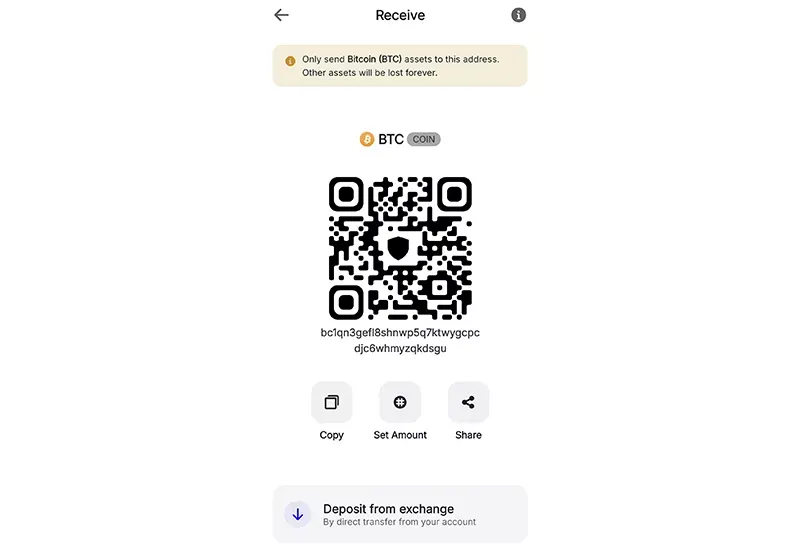 دریافت بیت کوین در تراست ولت