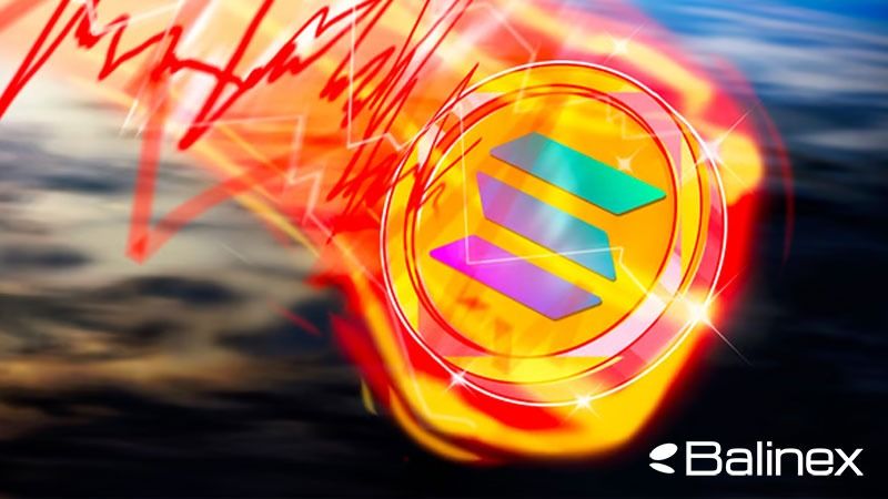 تاریخچه پیدایش سولانا