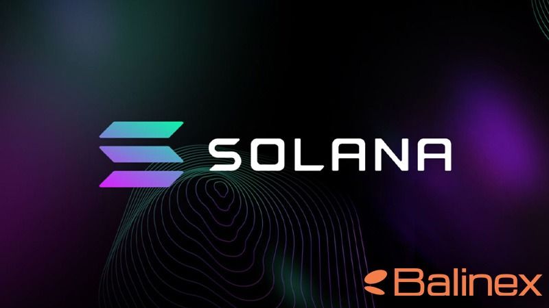 سولانا به عنوان رقیب ICP