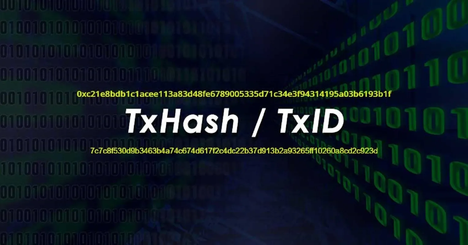 TXID چیست