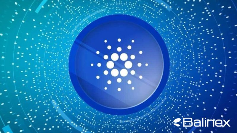 قیمت کاردانو