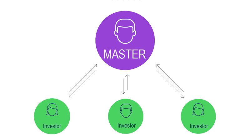 master و investor هایی که به یکدیگر متصل هستند.