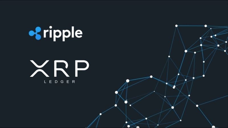 شبکه اصلی ریپل برای تراکنشها، XRP Ledger است.